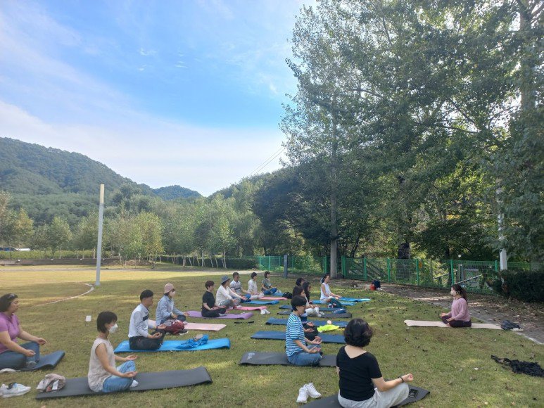 나무그늘 아래 마음을 모아봅니다, 양구 요가