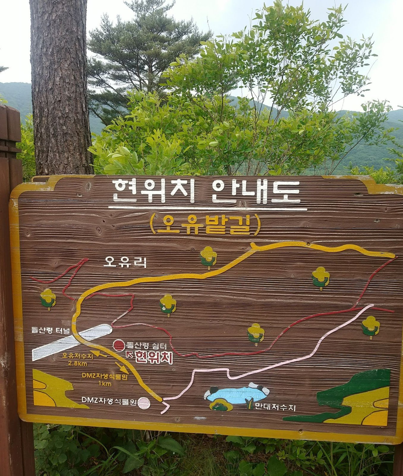 양구여행