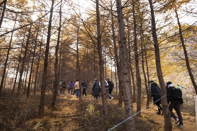 DMZ Punchbowl Dullegil Trekking