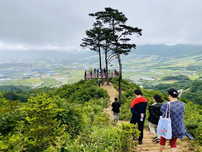 양구 DMZ펀치볼둘레길 부부소나무전망대